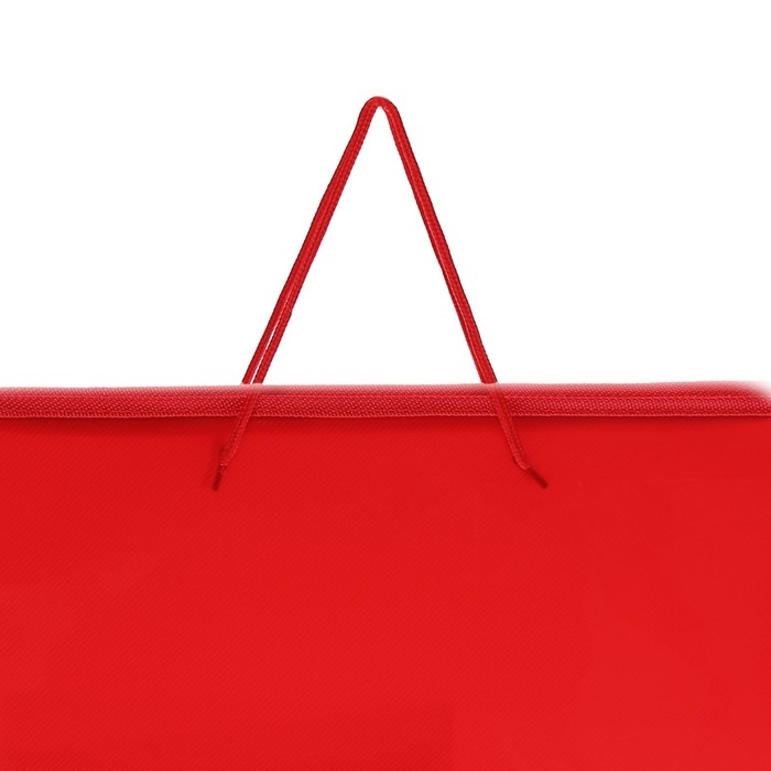 Папка для чертежей и рисунков А3, 460 х 320 х 25 мм, с ручками, пластиковая, молния вокруг, Папка для чертежей и рисунков А3, 460 х 320 х 25 мм, с ручками, пластиковая, молния вокруг, "Офис"