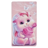 Пенал-футляр металлический 183 х 100 х 14 мм, Феникс "Розовый зайка" Пенал-футляр металлический 183 х 100 х 14 мм, Феникс "Розовый зайка"