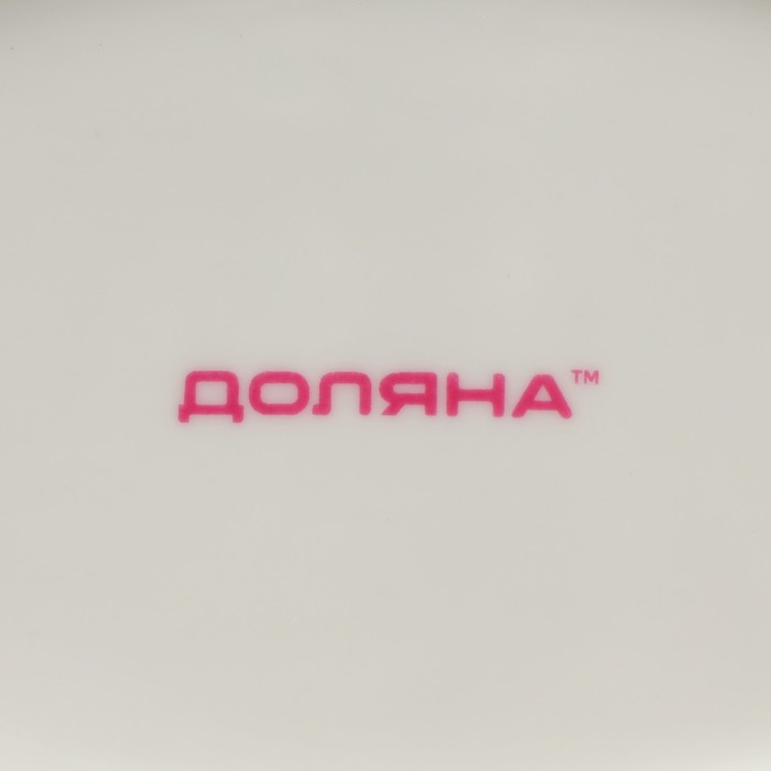 Блюдо фарфоровое Доляна &laquo;Зелёный сад&raquo;, 22,5&times;12&times;1,7 см, цвет белый