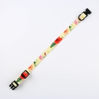 Набор &laquo;Цветы&raquo;, застёжка - фастекс, поводок 2 м и ошейник 28-46 см