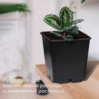 Горшок для рассады, 11 л, d = 25 см, h = 26 см, чёрный Горшок для рассады, 11 л, d = 25 см, h = 26 см, чёрный