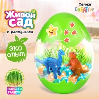 Набор для опытов &laquo;Живой сад: Мир динозавров&raquo;, вырасти травку