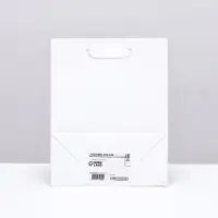 Пакет подарочный ламинированный &laquo;Белый&raquo;, S 12&times;15&times;5.5 см