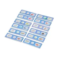 ЭВРИКИ Набор для опытов "Набор микропрепаратов", фрукты и ягоды