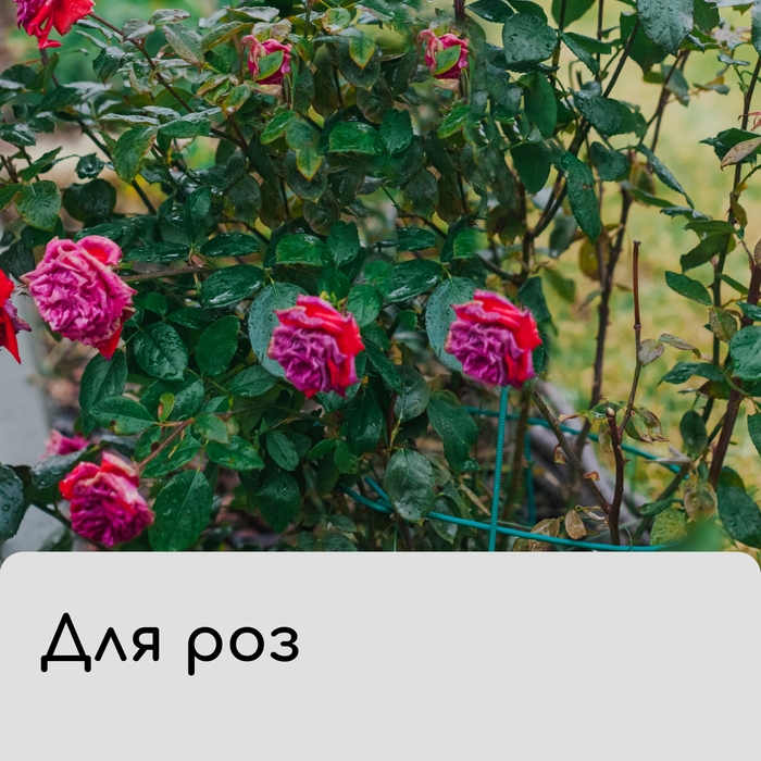 Чехол для растений, с петлями, 100 × 100 см, спанбонд с УФ-стабилизатором, плотность 60 г/м² Чехол для растений, с петлями, 100 × 100 см, спанбонд с УФ-стабилизатором, плотность 60 г/м²