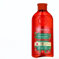 Шампунь для волос, питающий уход, аромат малины, 250 мл, Рябина Шампунь для волос, питающий уход, аромат малины, 250 мл, Рябина