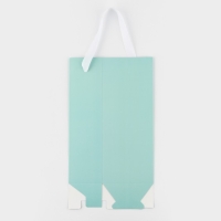 Пакет-переноска для цветов с пластиковым окном, &laquo;Для тебя&raquo;, тиффани, 30 х 12 х 8 см