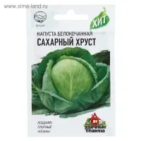 Семена Капуста белокочанная "Сахарный хруст" ранняя, 0,1 г  серия ХИТ х3