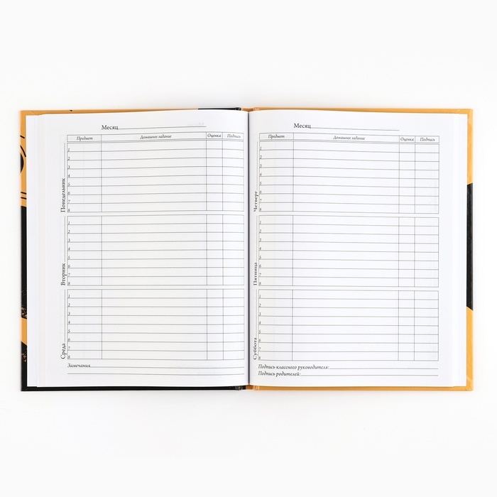 Дневник школьный 5-11 класс, в твердой обложке, 48 л. &laquo;1 сентября: Football&raquo;