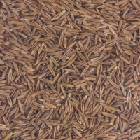 Газон Микс "Мой Выбор" 5кг