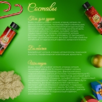 Новогодний подарочный набор косметики &laquo;Зимняя вьюга&raquo;, с ароматом хвои и корицы. Красная серия