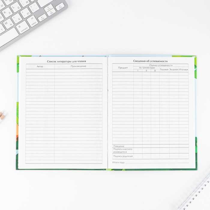 Дневник школьный 1-4 класс &laquo;1 сентября:Пират&raquo;, твердая обложка 7БЦ, глянцевая ламинация, 48 листов