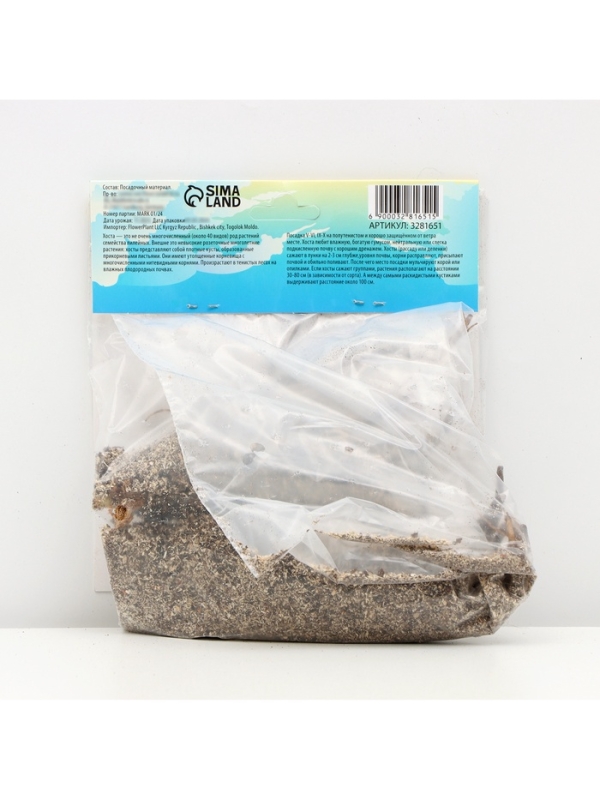 Хоста &laquo;Абиква Дринкинг Гурд&raquo;, корневище в пакете с торфогрунтом, р-р I, 1 шт.