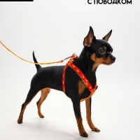 Комплект "Большая лапа", ширина 1,5 см, поводок 120 см, шлейка 28-42 см, оранжево-жёлтый Комплект "Большая лапа", ширина 1,5 см, поводок 120 см, шлейка 28-42 см, оранжево-жёлтый