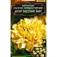 Семена цветов Бархатцы Шугар энд спайс вайт прямостоячие  Золотая серия, Ц/П,10 шт.
