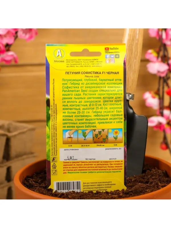 Набор семян Петуния Софистика черная F1 крупноцветковая, 4 шт., 2 шт.