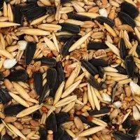 Корм "Пижон" для средних попугаев, с овощами и фруктами, 400 г