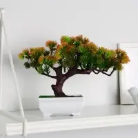 Бонсай в горшке &laquo;Хвойное дерево&raquo;, 10.5&times;18 см, МИКС