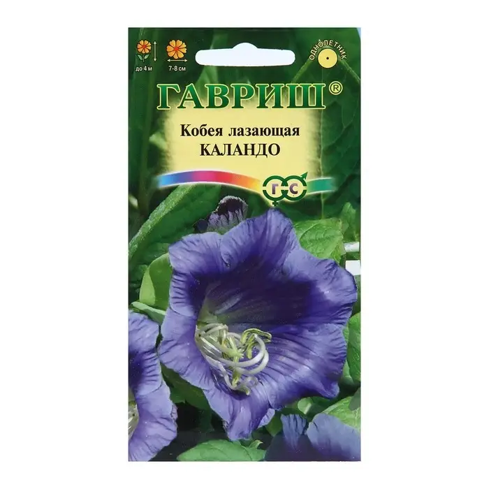 Семена цветов Кобея "Каландо", ц/п,  5 шт.