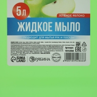Мыло жидкое кухонное, 5 л (5000 мл), аромат яблока, РУССКАЯ ВЫГОДА