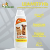 Шампунь "Пижон" универсальный, для щенков и котят, 250 мл Шампунь "Пижон" универсальный, для щенков и котят, 250 мл