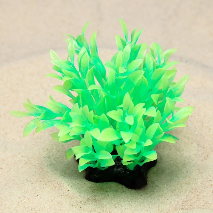 Растение искусственное аквариумное, светящееся, 10 см, зелёное Растение искусственное аквариумное, светящееся, 10 см, зелёное