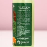 Подарочный набор косметики «Чудес и подарков!», гель для душа и пена для ванны, 2 х 100 мл, Новый Год Подарочный набор косметики «Чудес и подарков!», гель для душа и пена для ванны, 2 х 100 мл, Новый Год