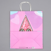 Пакет подарочный крафтовый, упаковка, &laquo;Подружка&raquo;, 28 х 32 х 15 см