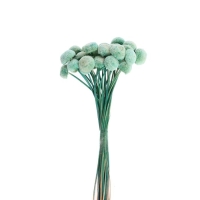 Сухоцвет &laquo;Батао&raquo; набор 20 шт., цвет голубой