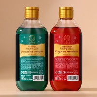 Новогодний подарочный набор косметики &laquo;Волшебные ароматы&raquo;, гель для душа и пена для ванны, 2 х 300 мл, аромат яблочный пунш и вишнёвый пирог, Новый Год