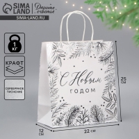 Пакет подарочный новогодний крафтовый &laquo;Серебро&raquo;, 22 х 25 х 12 см, Новый год