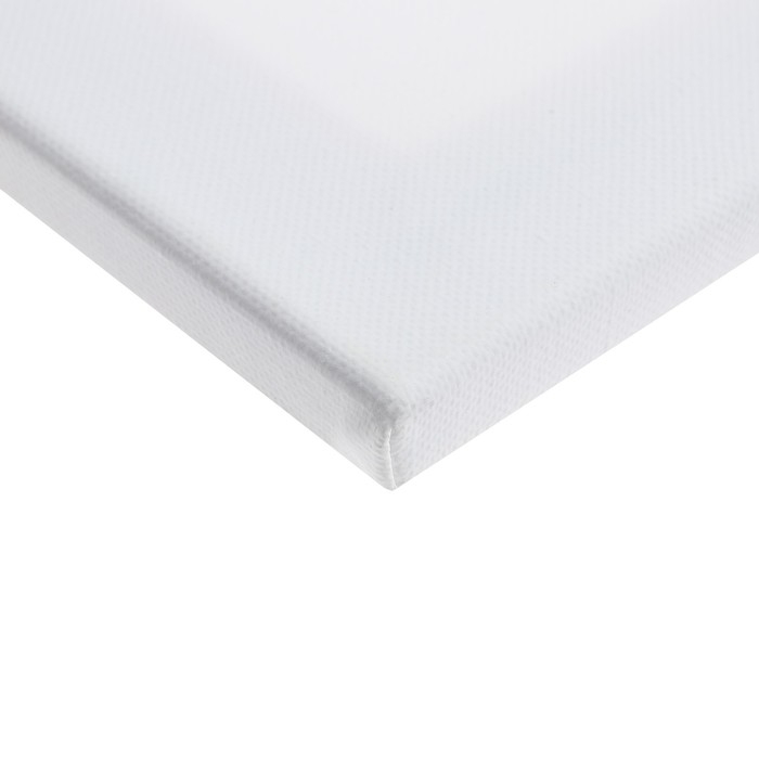 Холст на подрамнике 1,6х100х120 см, Calligrata, хлопок 100%, акриловый грунт, среднезернистый, 380г/м&sup2;