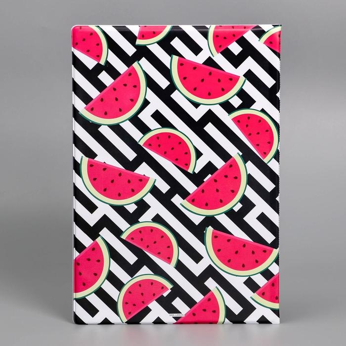 Папка для семейных документов &laquo;Docs&raquo;, 8 файлов А4