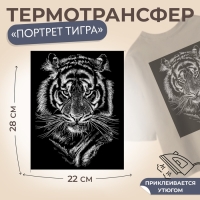 Термотрансфер &laquo;Портрет тигра&raquo;, 22 &times; 28 см, цена за 1 лист