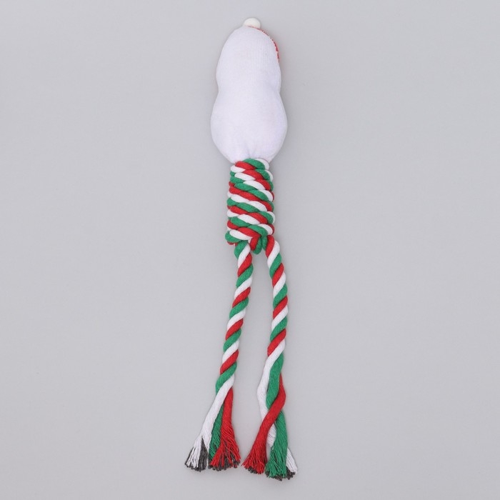 Игрушка пищащая, мягкая для собак Игрушка пищащая, мягкая для собак "Дед мороз" с канатом, 32 см