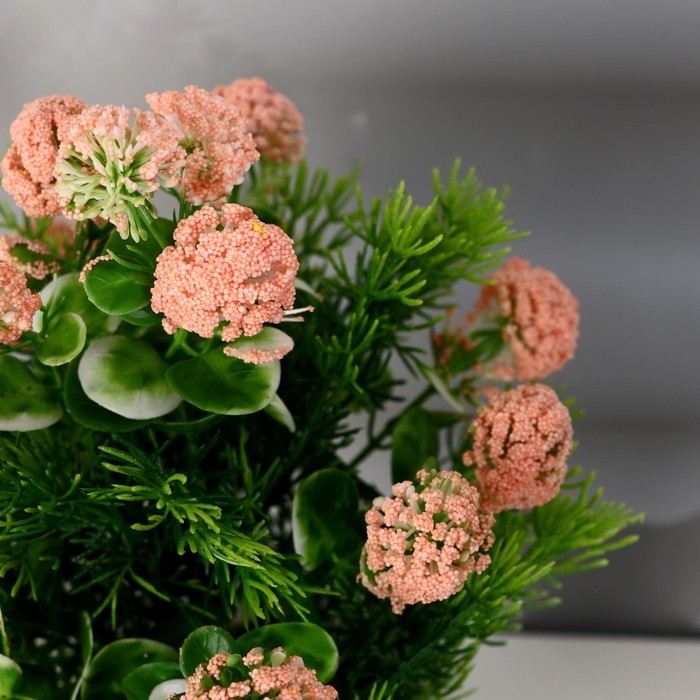 Бонсай в горшке "Лук голубой" 11х25 см,(h горшка=8,5см) микс