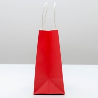 Пакет подарочный новогодний «Потом передаришь», 22 х 22 х 11 см, Новый год Пакет подарочный новогодний «Потом передаришь», 22 х 22 х 11 см, Новый год