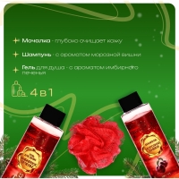 Новогодний подарочный набор косметики &laquo;Мастерская Деда Мороза&raquo; для душа и ванны, красная серия