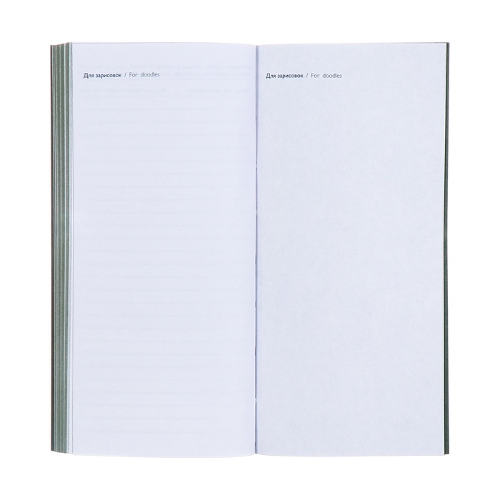 Еженедельник датированный 2025 года, 80х165 мм, 64 листа ESCALADA, мягкая обложка из искусственной кожи, блинтовое тиснение, блок 70 г/м&sup2;, зелёный