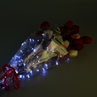 Плёнка упаковочная с гирляндой &laquo;Холодный белый&raquo;, 60 х 60 см