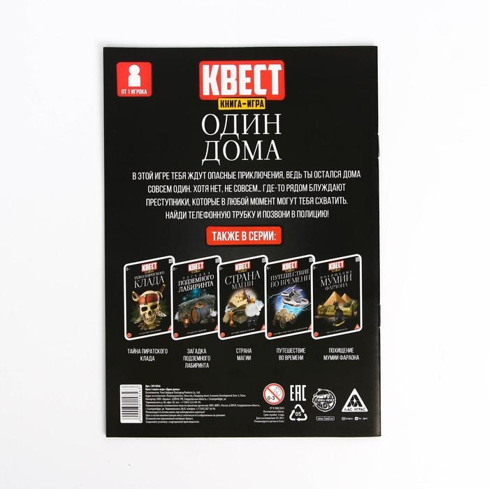 Книга-квест &laquo;Один дома&raquo; версия 2, 8+