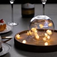 Гирлянда &laquo;Нить&raquo; 2 м роса с насадками &laquo;Цветы&raquo;, IP20, нить серебристая, 20 LED, 4.6 В, батарейки AG13x3 (в комплекте), 3 режима, свечение тёплое белое