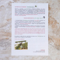 Свеча магическая медовая с можжевельником для защиты дома &laquo;Можжевеловые&raquo;, 12 штук