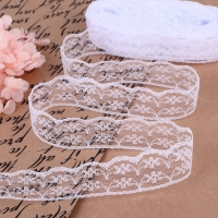 Кружево капроновое, 23 мм × 10 ± 1 м, цвет белый №10 Кружево капроновое, 23 мм × 10 ± 1 м, цвет белый №10