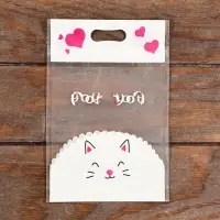 Пакет подарочный, с zip-lock застежкой, 15&times;23 см