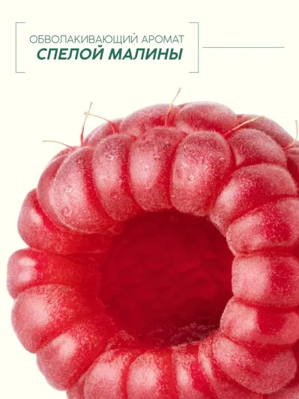 Мыло жидкое для рук, увлажнение и забота, аромат малины, 250 мл, Рябина