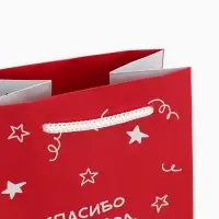 Пакет подарочный под бутылку, упаковка, &laquo;Гусь&raquo;, 36 х 13 х 10 см