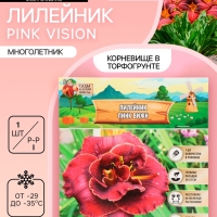 Лилейник Pink Vision, многолетник, корневище в пакете с торфогрунтом, р-р I, 1 шт.