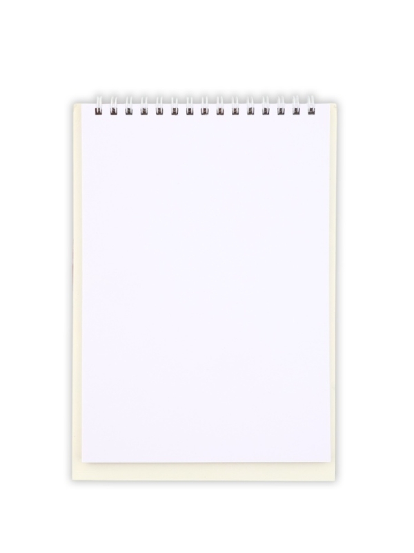 Набор: блокнот А5, 60 л. и ручка "В этот весенний день"