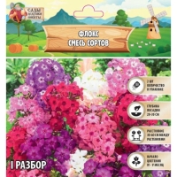 Флокс смесь сортов I, 2 шт, Флокс смесь сортов I, 2 шт,